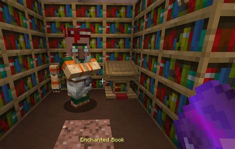 Which Villager Gives Mending Books: A Deep Dive into a Mystery